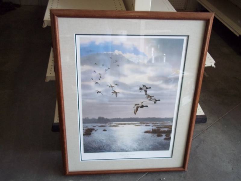 lot 214 image: Framed Duck Picture 27 x 34
