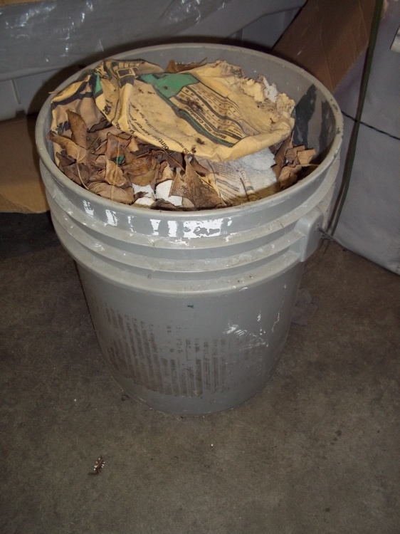 lot 232 image: 5 gal pail of quick Crete
