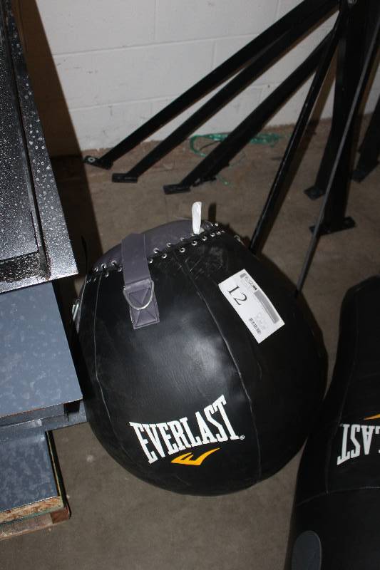 Everlast Punching Bag w Wall Mount