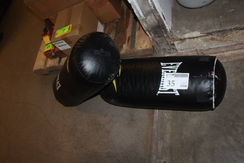 Lot of (2) 60lb Everlast Punching Bags