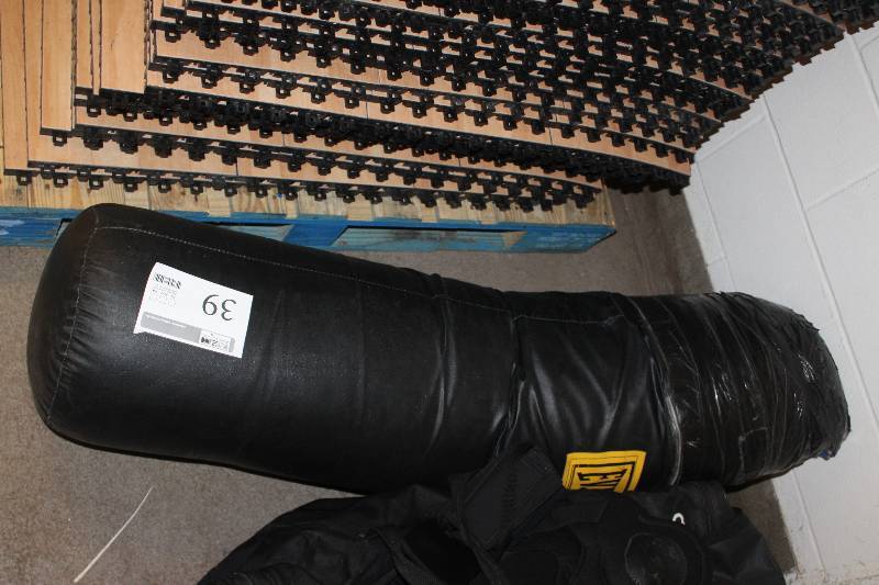Everlast Punching Bag