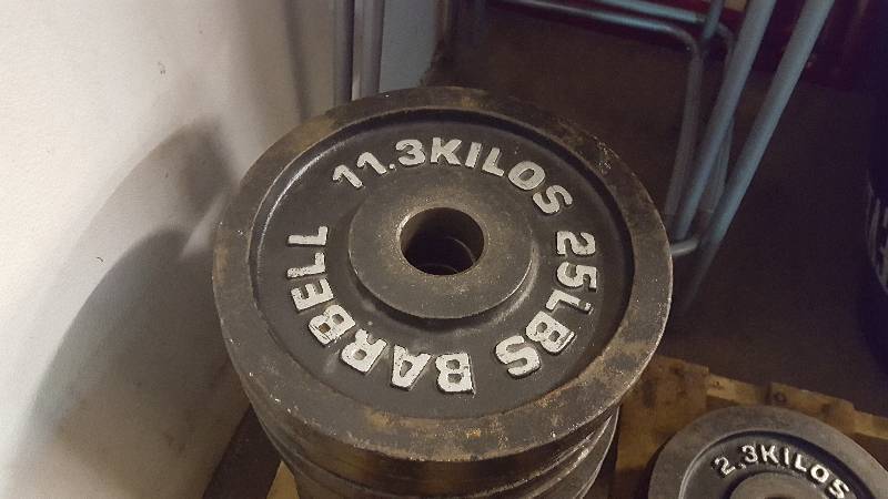 Lot of (10) 25 lb Barbell Free Weights