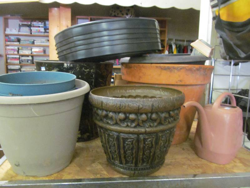 lot 42 image: PlantersLawn Edging