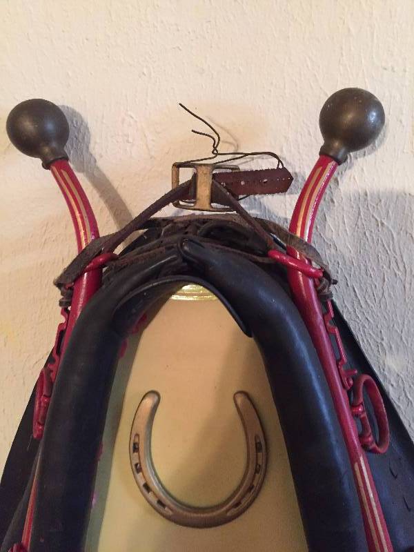 HORSE HARNESS MIRROR
