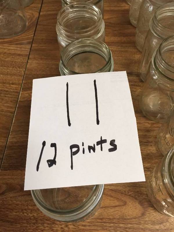 12 PINT JARS