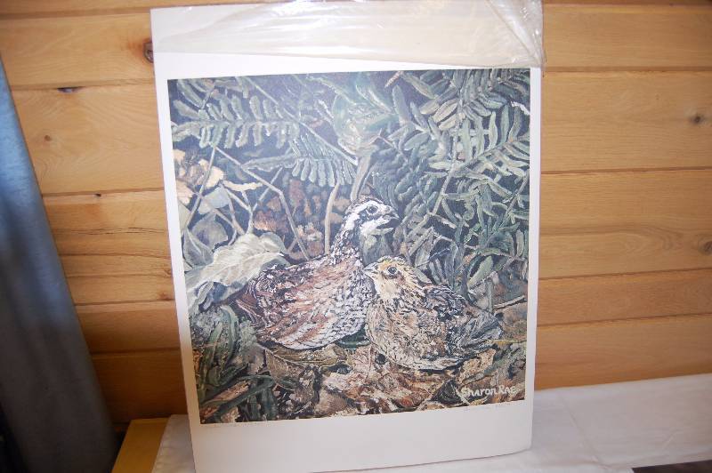 lot 67 image: Bird Art