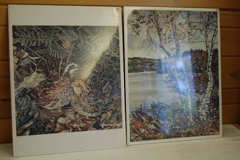 lot 71 image: Wildlife Prints