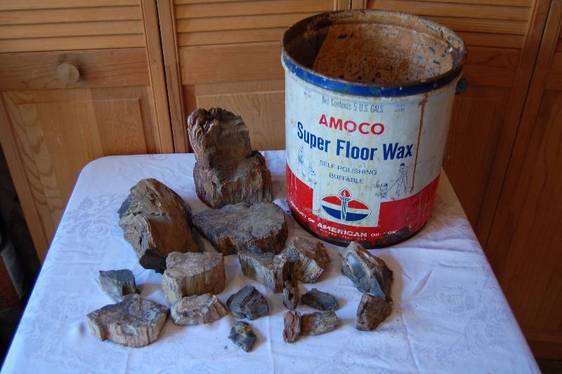 lot 384 image: Petrified Wood