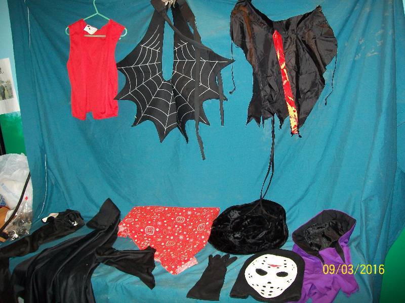 lot 58 image: Misc Red Bandanna. Black Hat. Spider Web Shawl. Toddler Dracula Cape. 2 Kid Capes & 1 Vest. 1 Glove