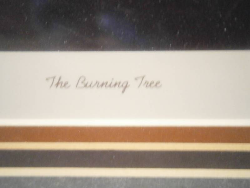 Jesse Barnes The Burning Tree Print & Frame