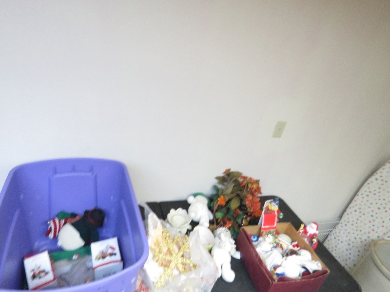 Christmas lot