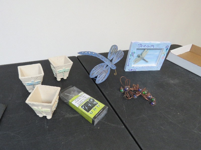 Dragonfly dcor
