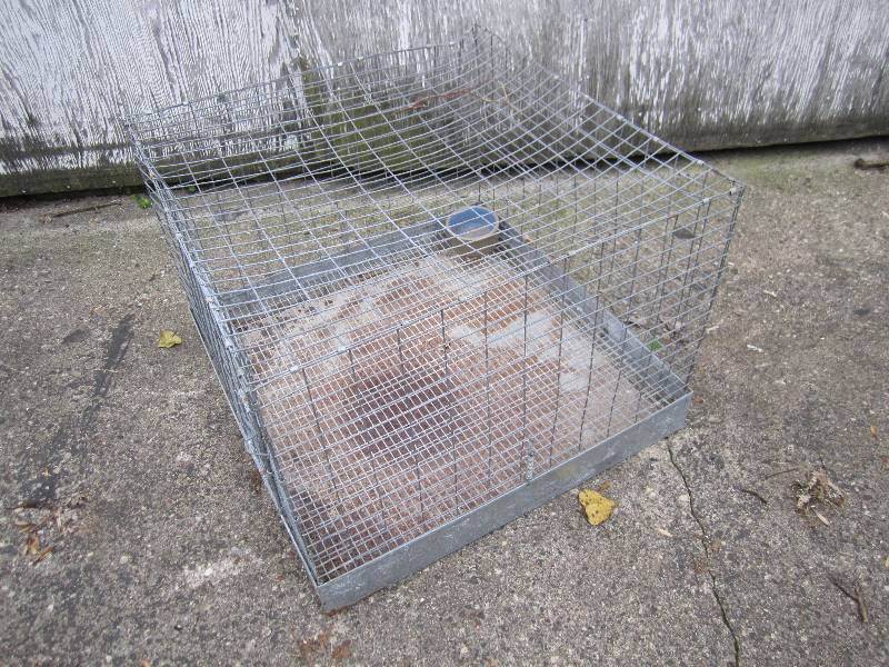 lot 101 image: Metal kennel, 2x2 18 tall...
