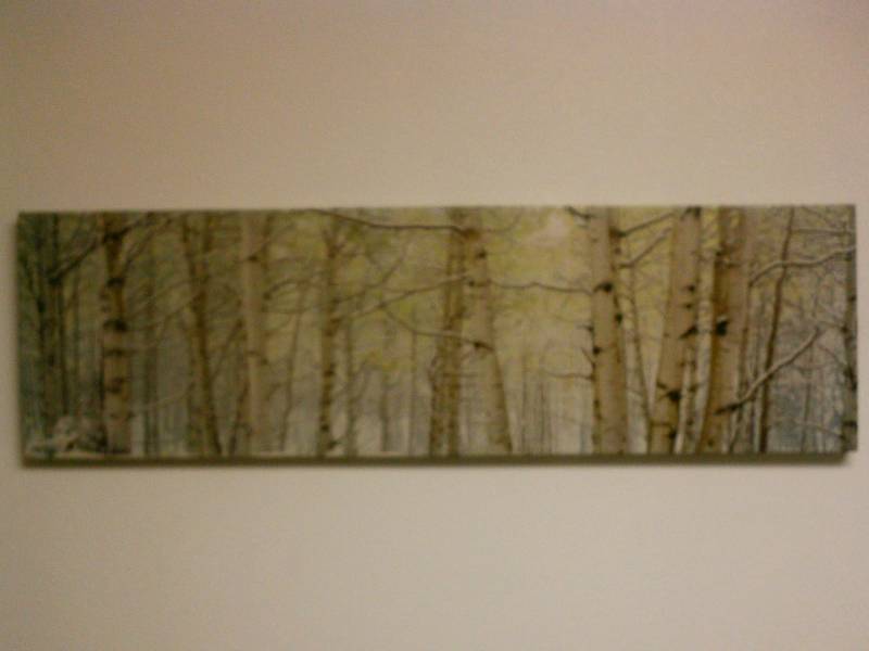 lot 210 image: Aspen Trees, Wall Art