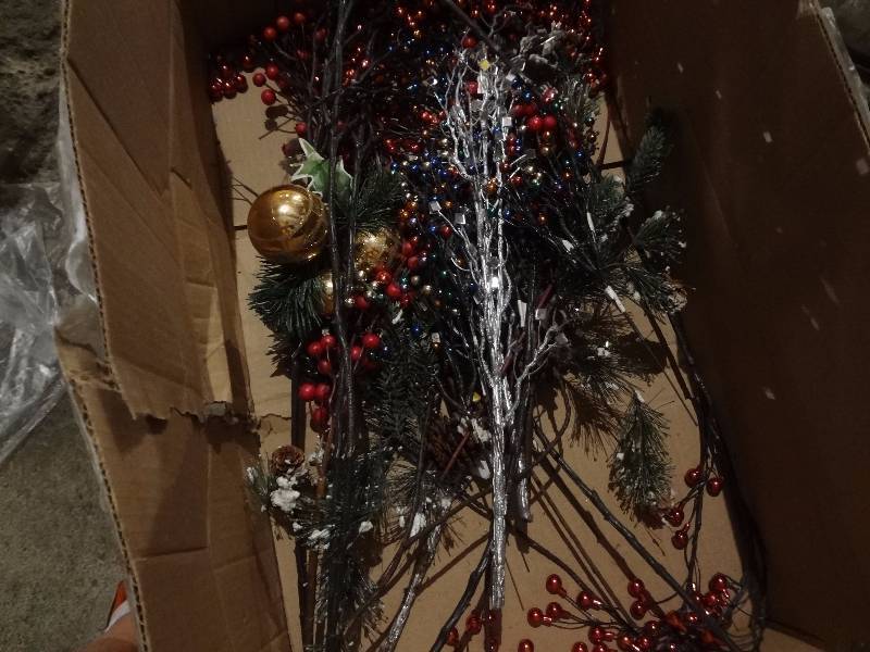 lot 84 image: Xmas, Halloween, Garden