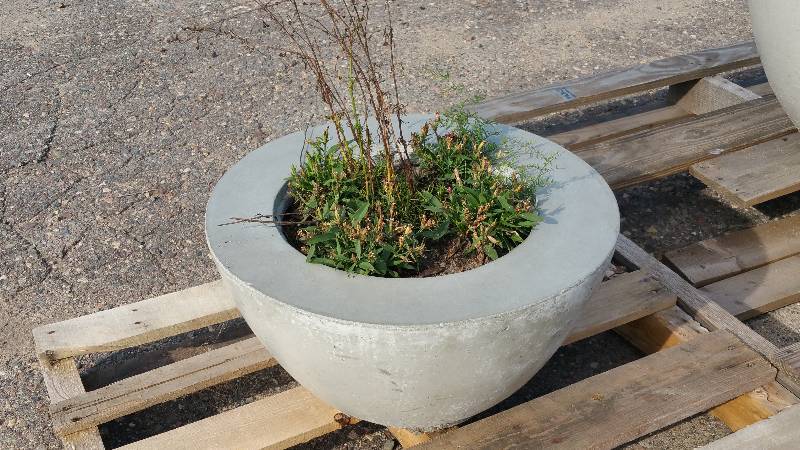 Small Concrete Planter