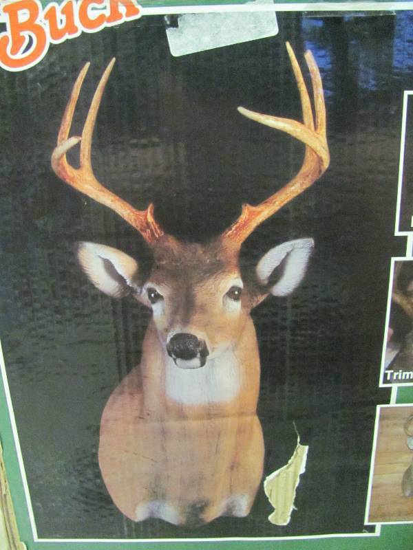 lot 29 image: Trophy Buck Display Kit
