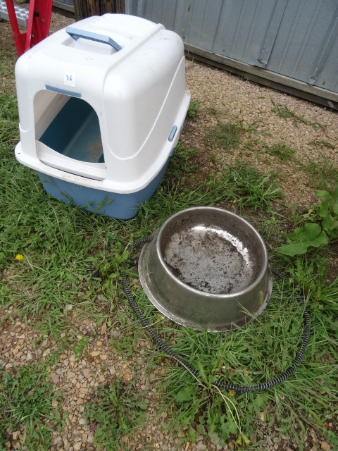 Litter Box