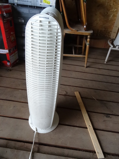 Fan