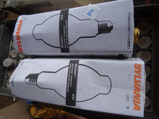Bulbs