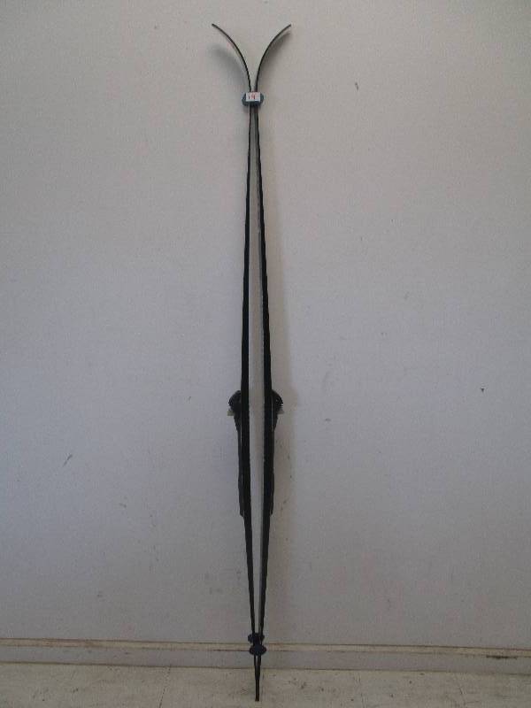 lot 14 image: Cross Country Skis