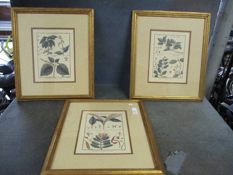 lot 73 image: 3 Picture Frames & Pictures