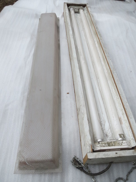 Fluorescent Light