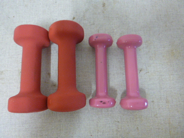 lot 225 image: 4 Hand Weights