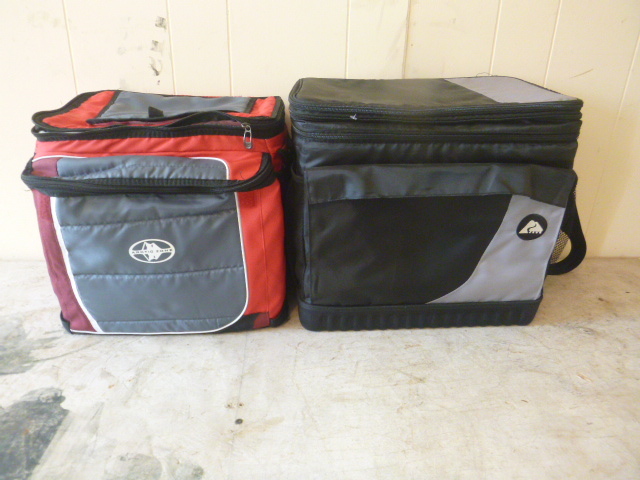 lot 380 image: 2 Soft Sided Coolers
