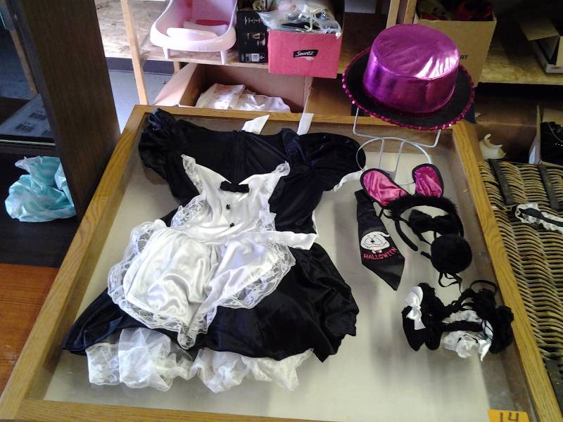 lot 9 image: French Maid Costume, Bunny Set, More