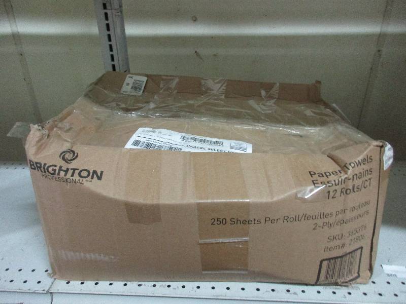 Queen Air Bed