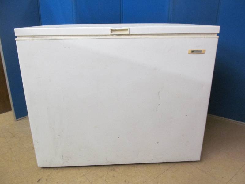 lot 65 image: Westinghouse Freezer