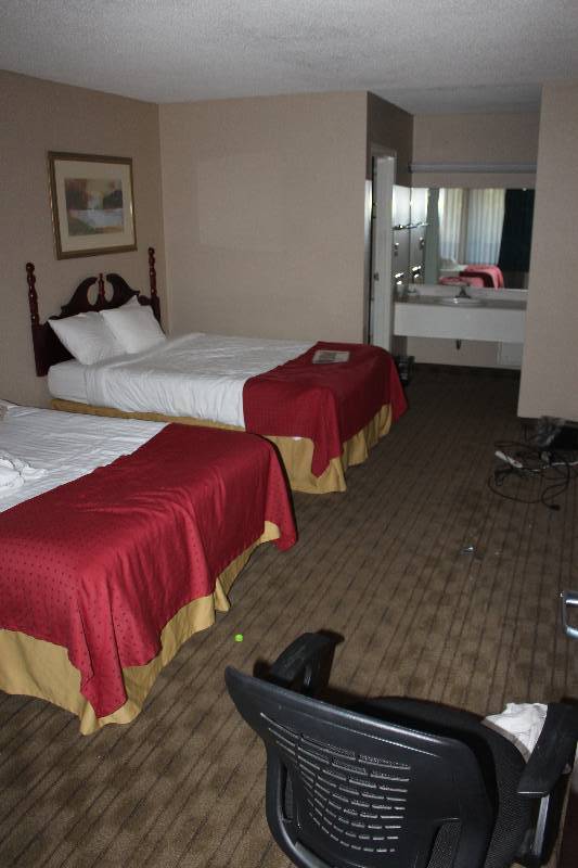 lot 113 image: Contents of Room #113