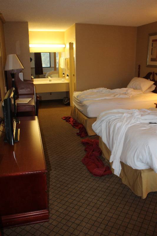 lot 233 image: Contents of Room #233