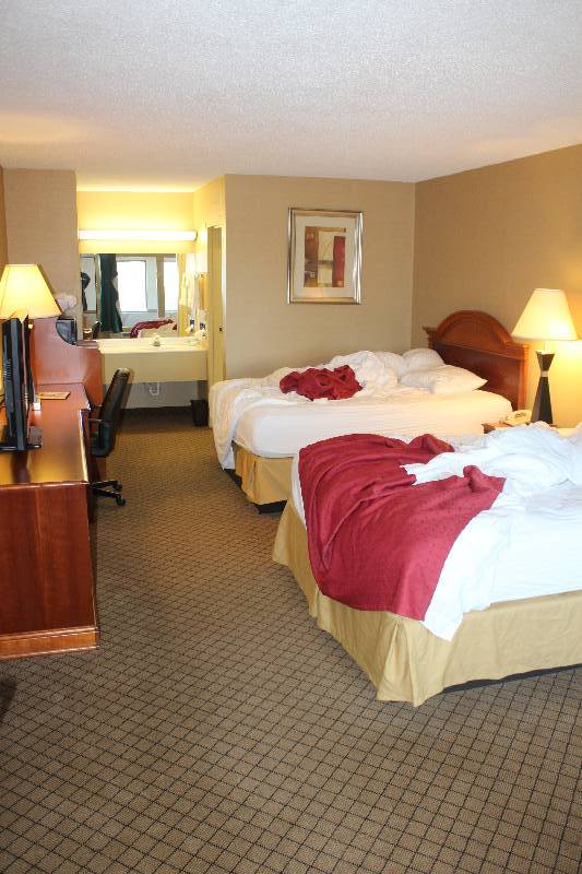 lot 241 image: Contents of Room #241