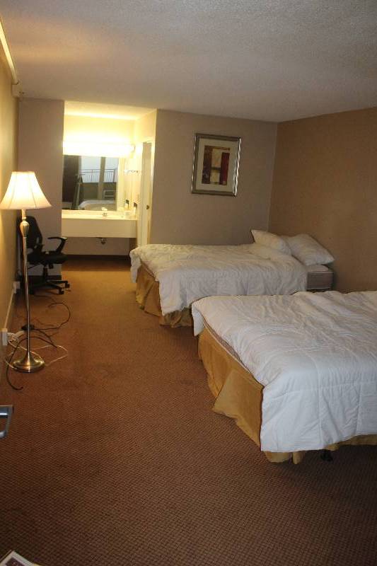lot 242 image: Contents of Room #242