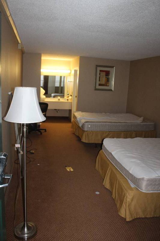 lot 246 image: Contents of Room #246