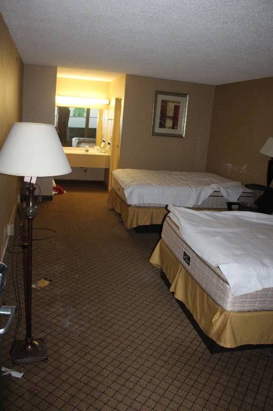 lot 250 image: Contents of Room #250