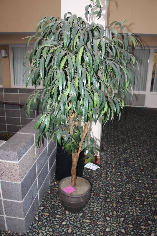 lot 176 image: Decorative Tree