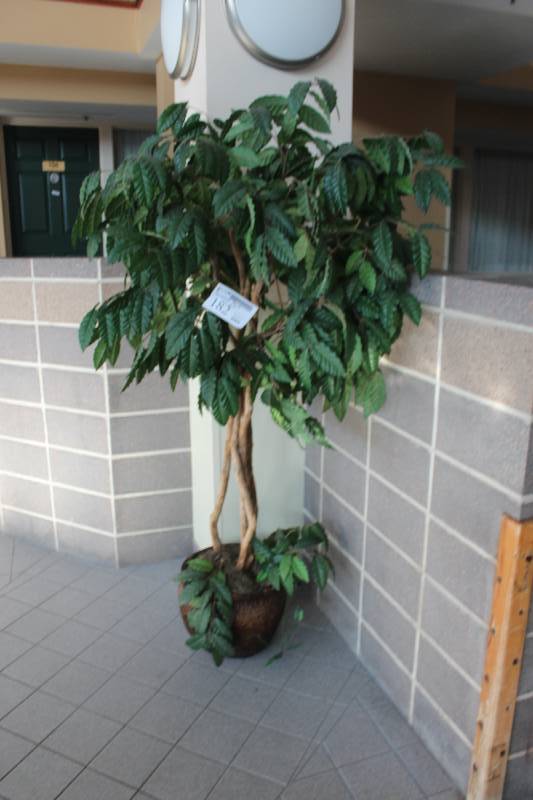 lot 182 image: Decorative Tree