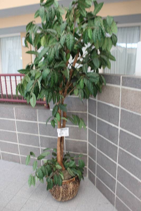 lot 184 image: Decorative Tree