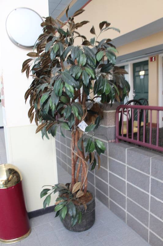 lot 186 image: Decorative Tree