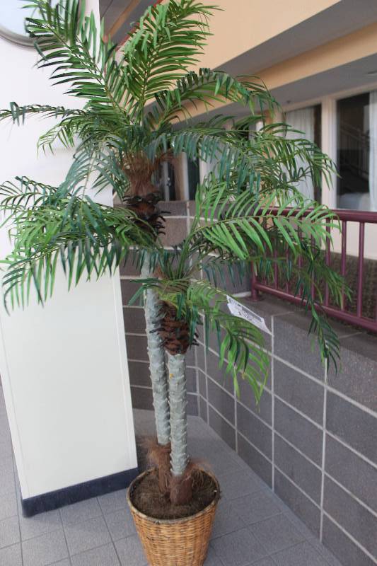 lot 188 image: Decorative Tree