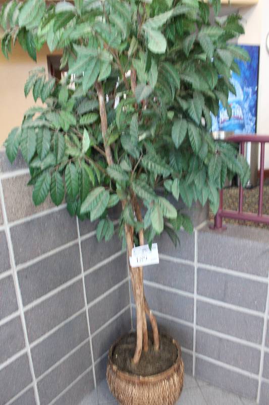 lot 189 image: Decorative Tree