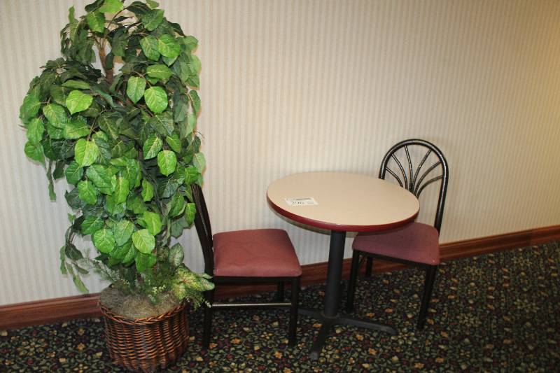 lot 296 image: Lot of (4) 2nd Floor Including 1) Table AND 2) Chairs AND 1) Decorative Tree