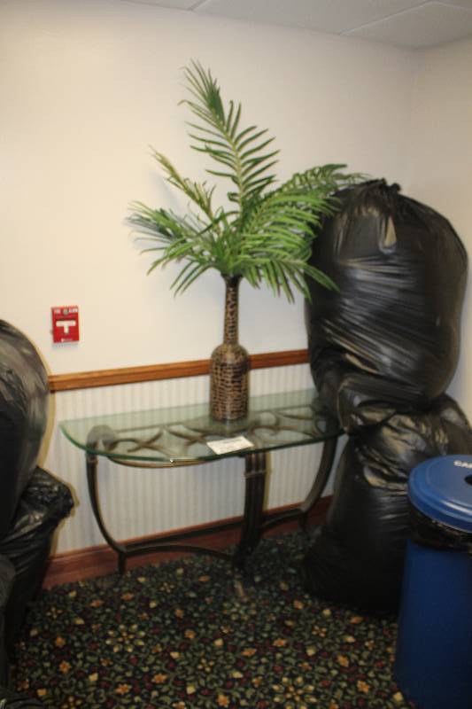 lot 298 image: Lot of (3) Including 1) Glass-Top Entrance Table AND 2) Decorative Trees