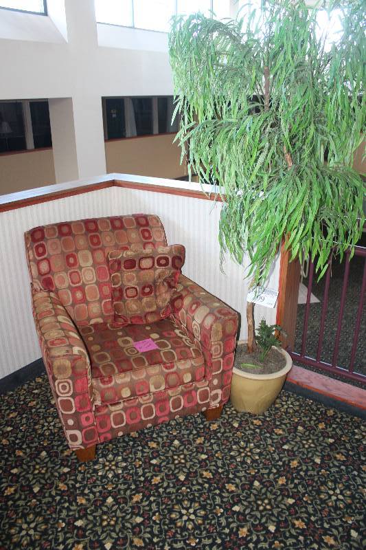 lot 199 image: Lot of (2) Including 1) Living Room Chair AND 1) Decorative Tree