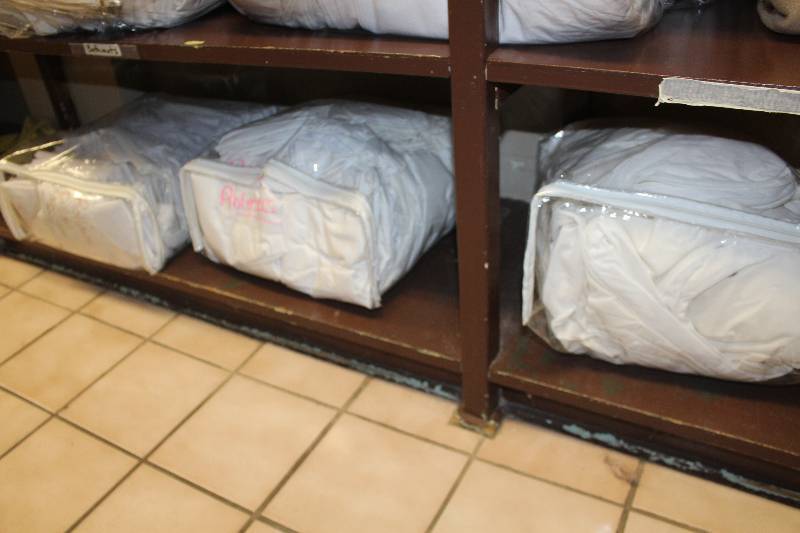 lot 934 image: Shelf Lot of Linens Including Rollaway Pillow Cases, Protectors