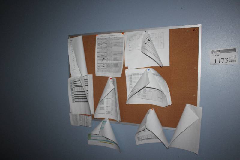 lot 1173 image: Wall Mount Push Pin Board