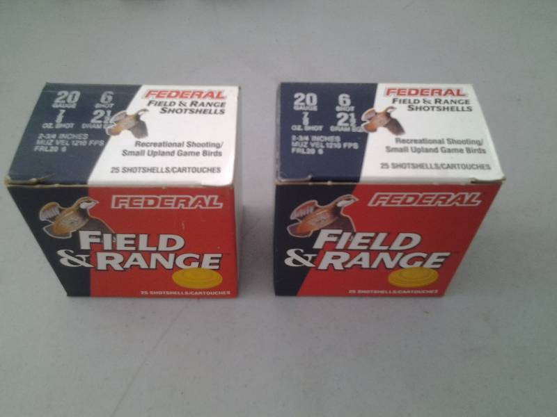 lot 42 image: 2-Boxes 20 Ga Shotgun Shells #6